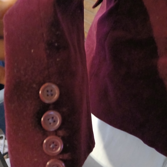 Velvet blazer - Picture 3 of 5